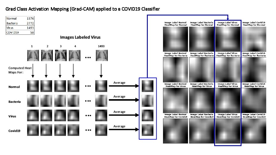 Grad Class Activation Mapping (Grad-CAM) applied to a COVID 19 Classifier 