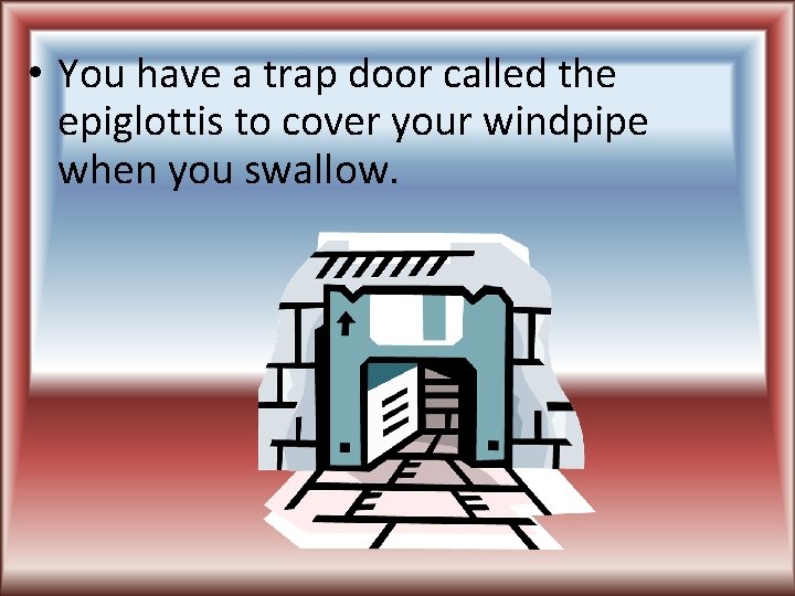  • You have a trap door called the epiglottis to cover your windpipe