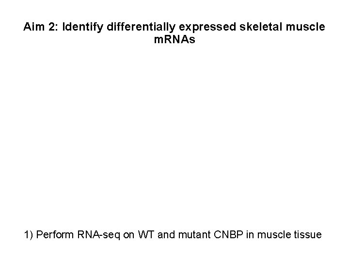 Aim 2: Identify differentially expressed skeletal muscle m. RNAs 1) Perform RNA-seq on WT