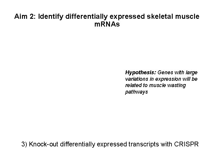 Aim 2: Identify differentially expressed skeletal muscle m. RNAs Hypothesis: Genes with large variations