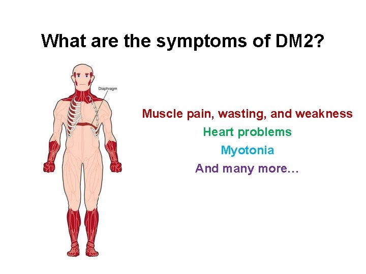 What are the symptoms of DM 2? Muscle pain, wasting, and weakness Heart problems