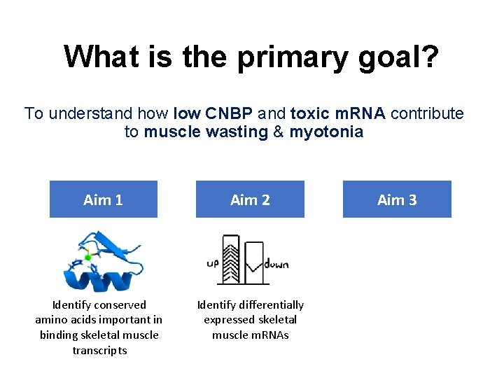 What is the primary goal? To understand how low CNBP and toxic m. RNA