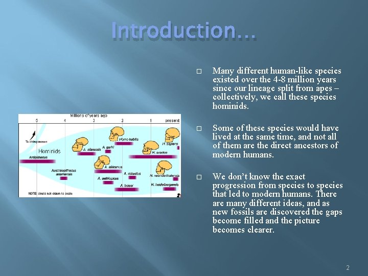 Introduction… Many different human-like species existed over the 4 -8 million years since our