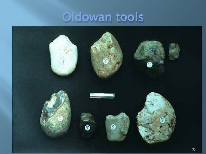 Oldowan tools 35 