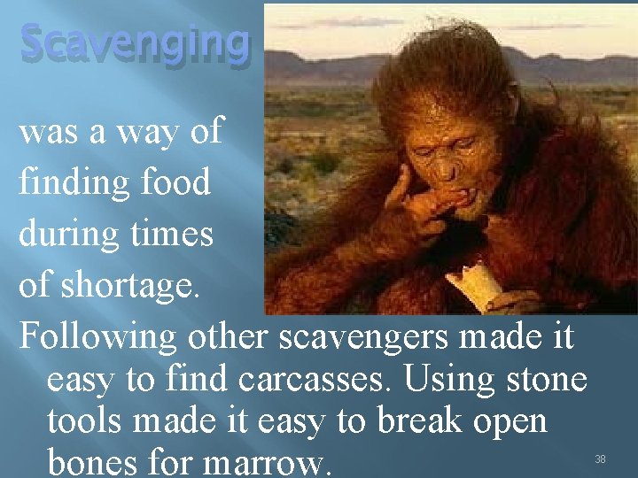 Scavenging was a way of finding food during times of shortage. Following other scavengers