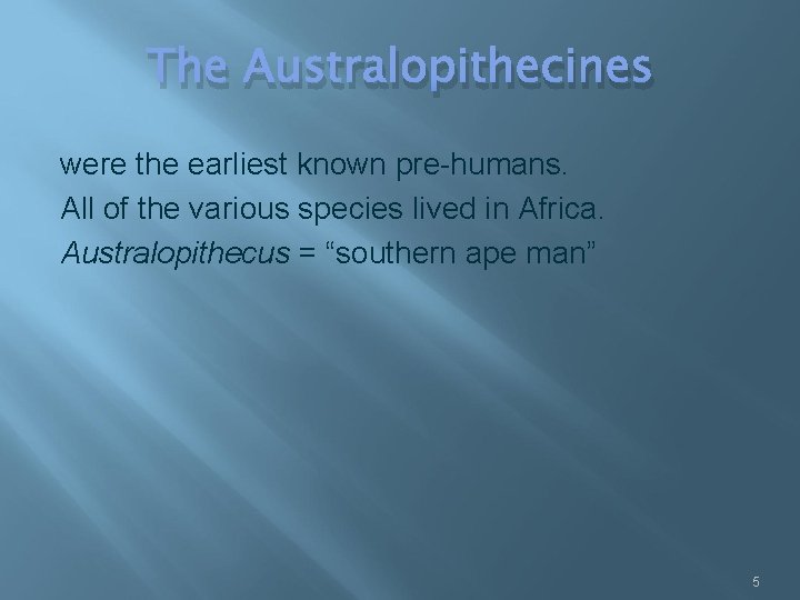 The Australopithecines were the earliest known pre-humans. All of the various species lived in