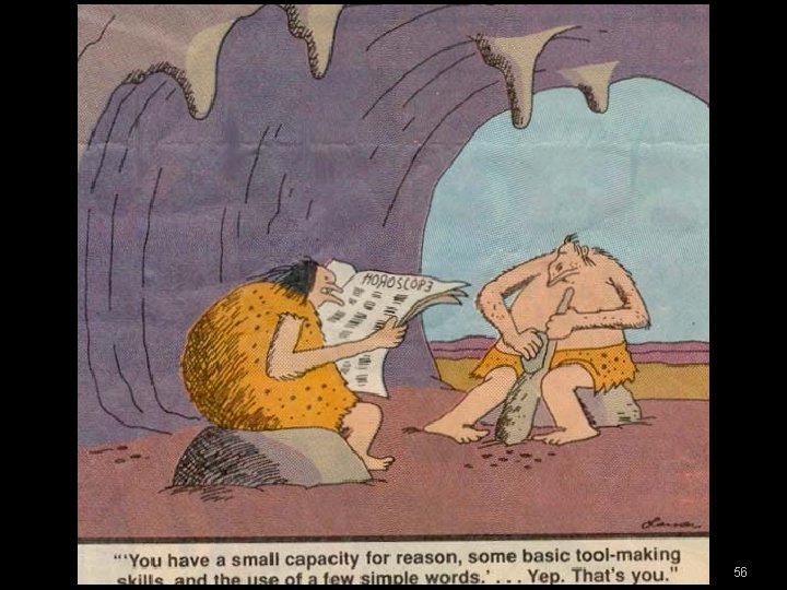 56 