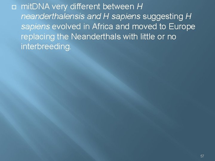  mit. DNA very different between H neanderthalensis and H sapiens suggesting H sapiens