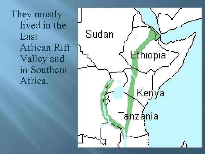 They mostly lived in the East African Rift Valley and in Southern Africa. 6