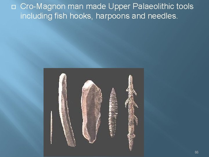  Cro-Magnon made Upper Palaeolithic tools including fish hooks, harpoons and needles. 66 