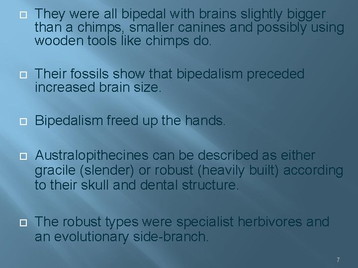  They were all bipedal with brains slightly bigger than a chimps, smaller canines