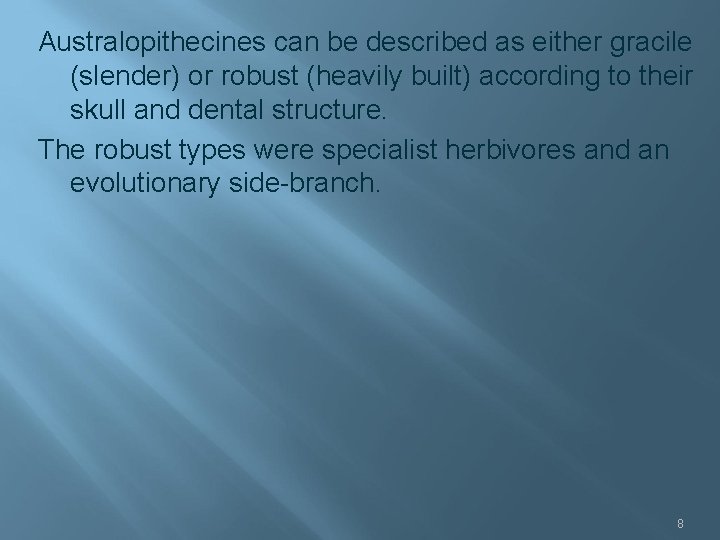 Australopithecines can be described as either gracile (slender) or robust (heavily built) according to