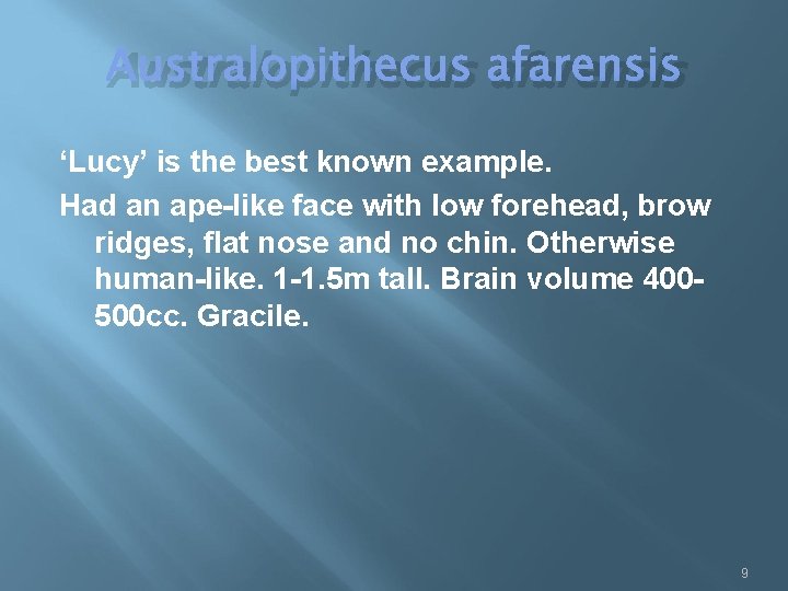 Australopithecus afarensis ‘Lucy’ is the best known example. Had an ape-like face with low