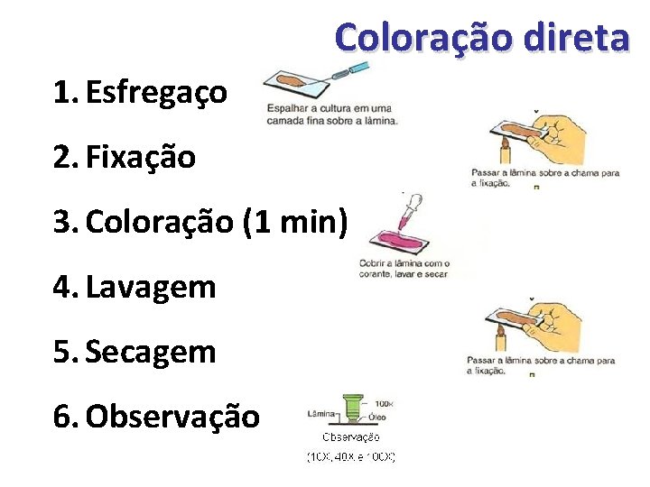 Coloração direta 1. Esfregaço 2. Fixação 3. Coloração (1 min) 4. Lavagem 5. Secagem