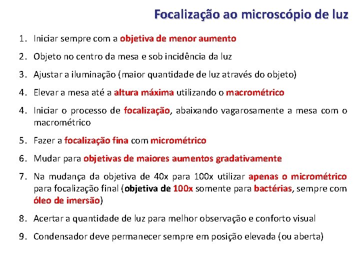 Focalização ao microscópio de luz 1. Iniciar sempre com a objetiva de menor aumento