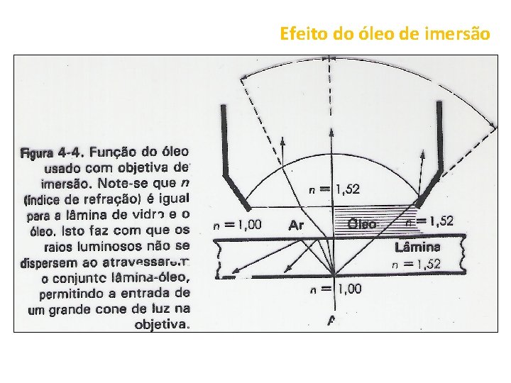 Efeito do óleo de imersão 