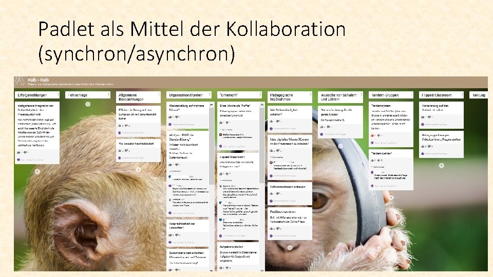 Padlet als Mittel der Kollaboration (synchron/asynchron) 