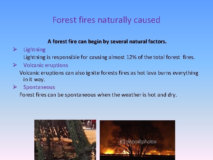 Forest fires naturally caused A forest fire can begin by several natural factors. Ø