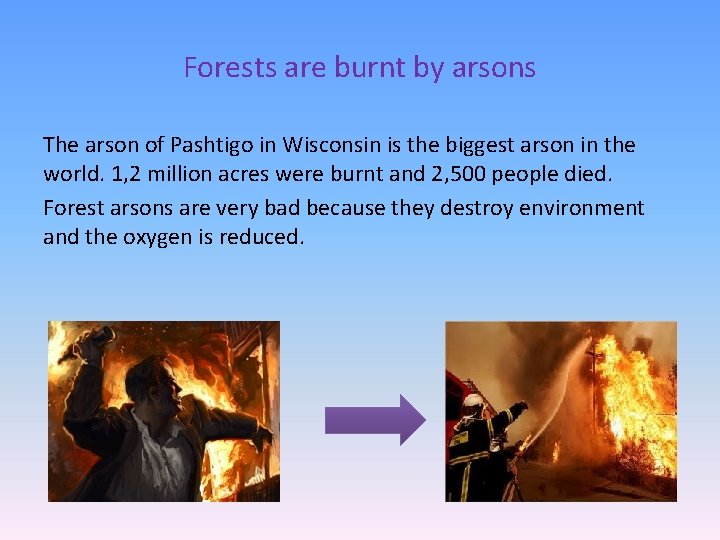 Forests are burnt by arsons The arson of Pashtigo in Wisconsin is the biggest