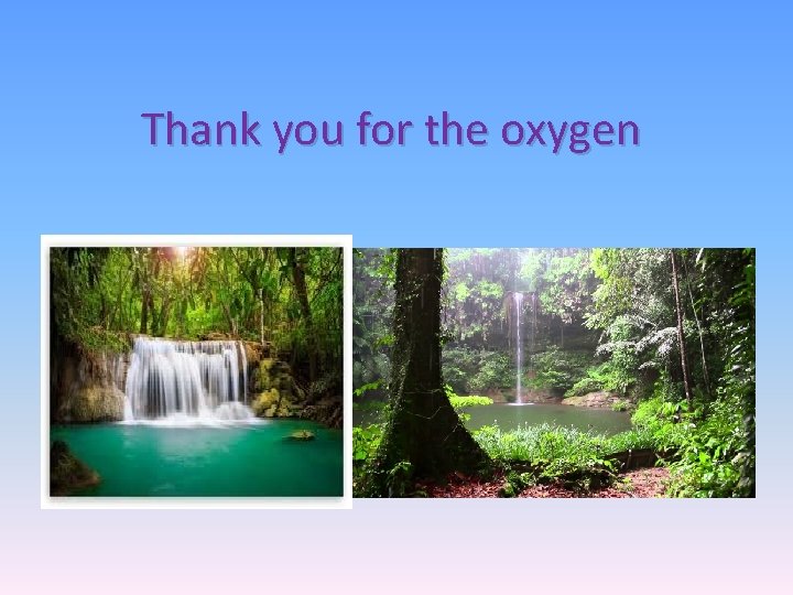 Thank you for the oxygen 