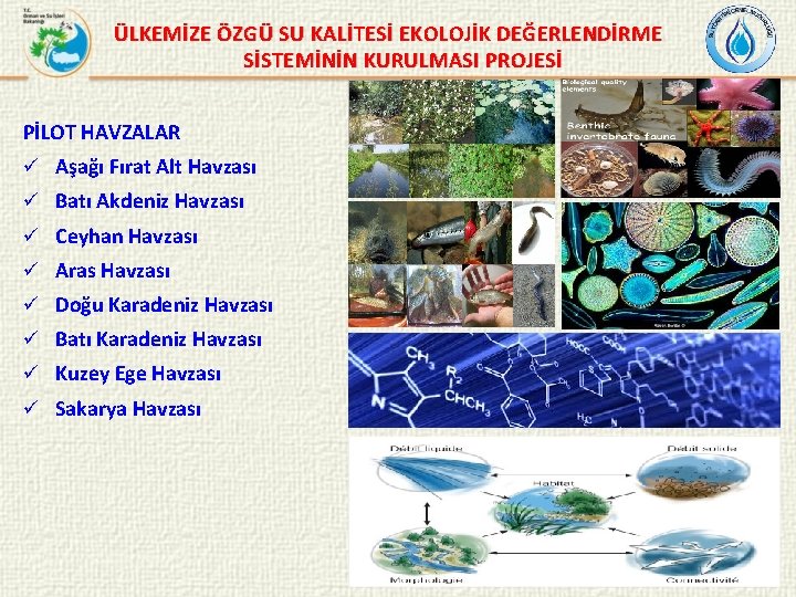 ÜLKEMİZE ÖZGÜ SU KALİTESİ EKOLOJİK DEĞERLENDİRME SİSTEMİNİN KURULMASI PROJESİ PİLOT HAVZALAR ü Aşağı Fırat