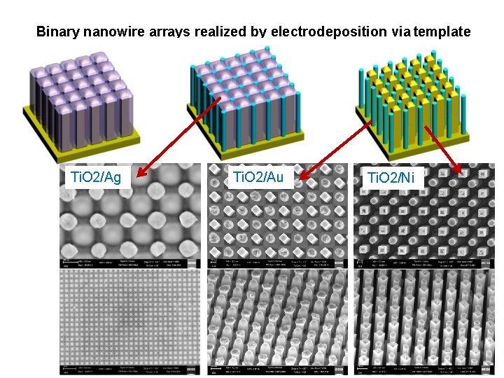 Binary nanowire arrays realized by electrodeposition via template Ti. O 2/Ag Ti. O 2/Au