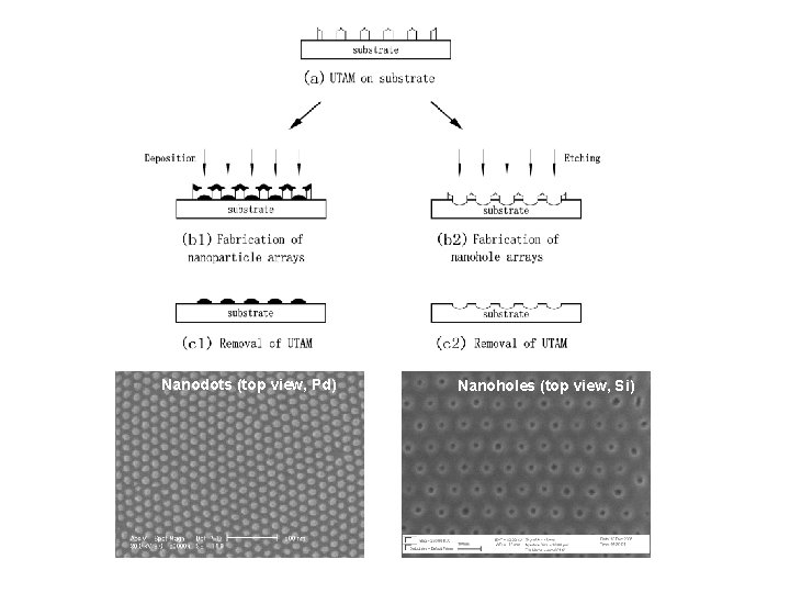 Nanodots (top view, Pd) Nanoholes (top view, Si) 