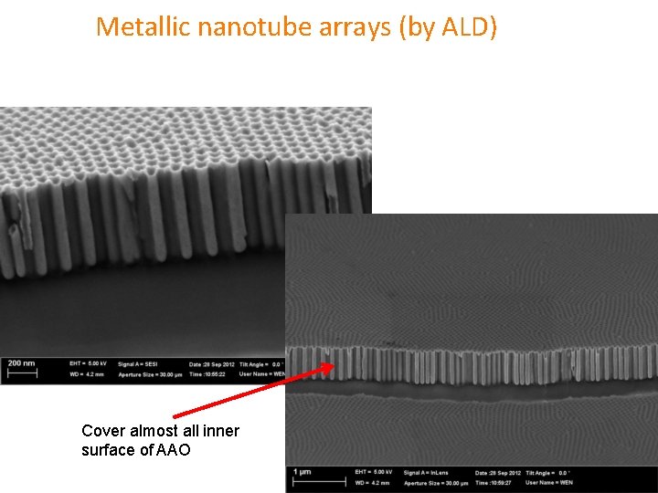 Metallic nanotube arrays (by ALD) Cover almost all inner surface of AAO 