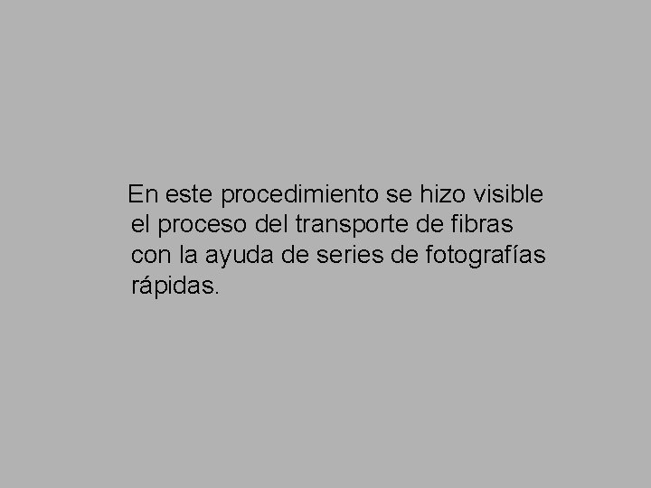 Metodo directo En este procedimiento se hizo visible el proceso del transporte de fibras