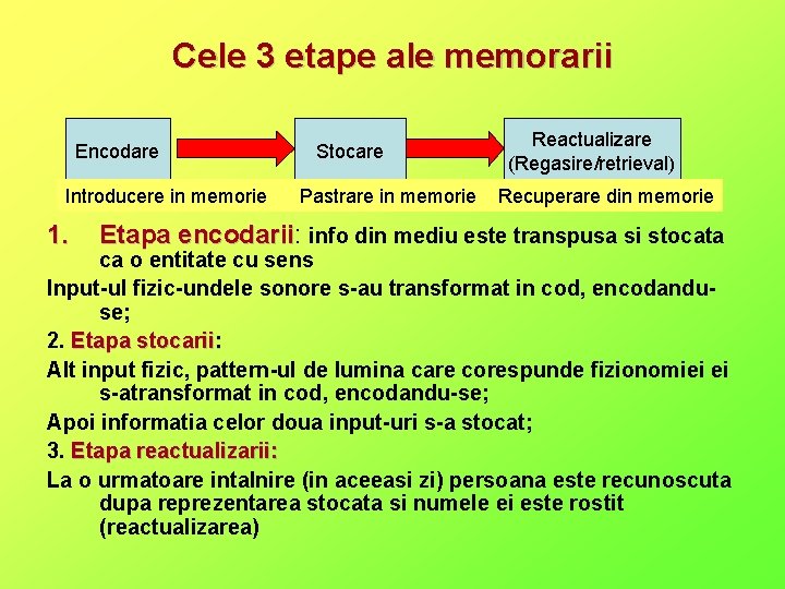 Cele 3 etape ale memorarii Encodare Introducere in memorie 1. Stocare Pastrare in memorie