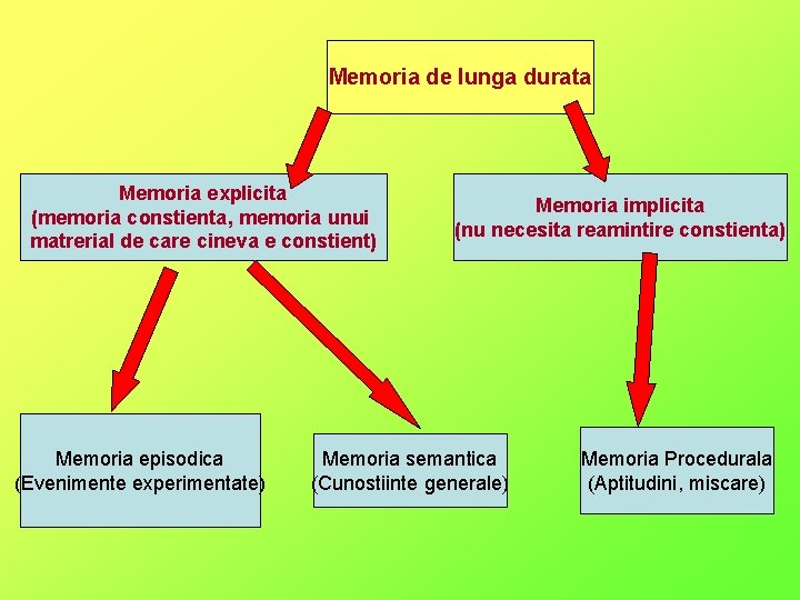 Memoria de lunga durata Memoria explicita (memoria constienta, memoria unui matrerial de care cineva