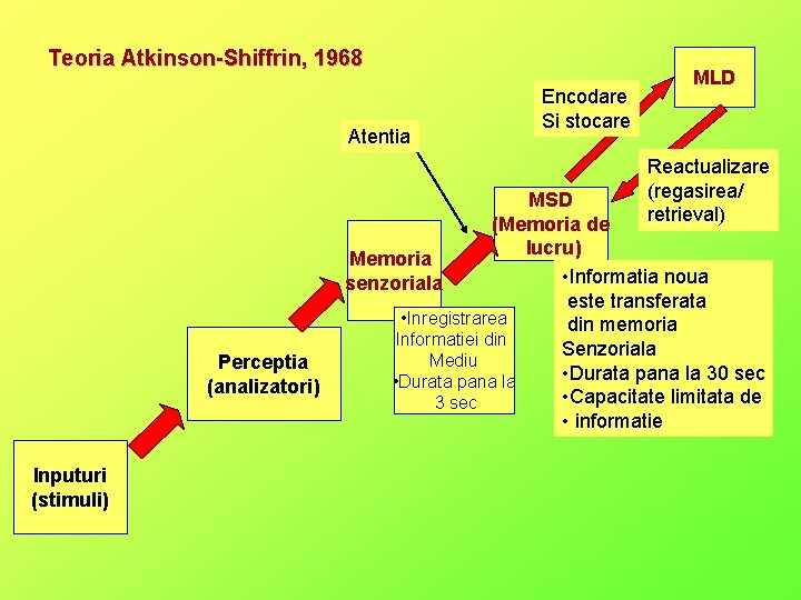 Teoria Atkinson-Shiffrin, 1968 Atentia Encodare Si stocare MLD Reactualizare (regasirea/ retrieval) Perceptia (analizatori) Inputuri