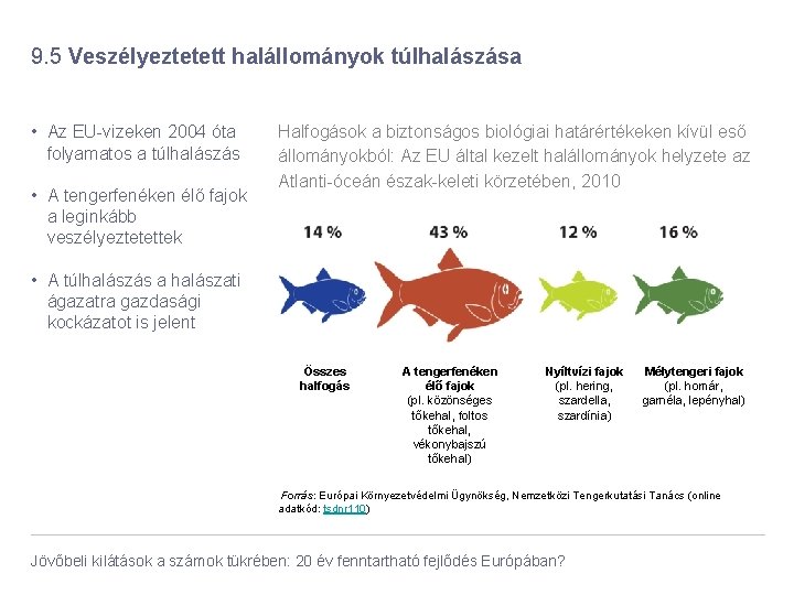 9. 5 Veszélyeztetett halállományok túlhalászása • Az EU-vizeken 2004 óta folyamatos a túlhalászás •