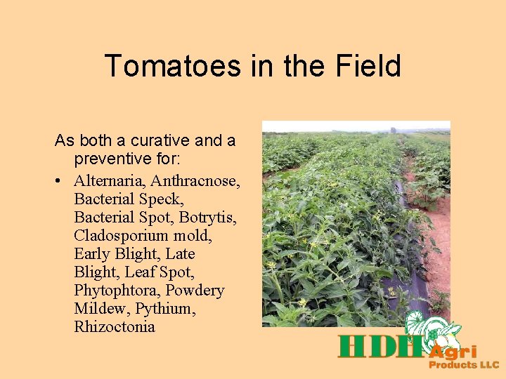 Tomatoes in the Field As both a curative and a preventive for: • Alternaria,