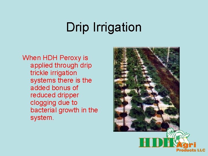 Drip Irrigation When HDH Peroxy is applied through drip trickle irrigation systems there is