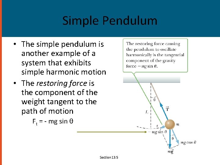 Simple Pendulum • The simple pendulum is another example of a system that exhibits