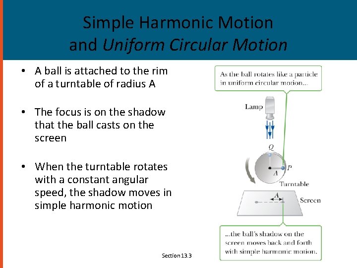 Simple Harmonic Motion and Uniform Circular Motion • A ball is attached to the