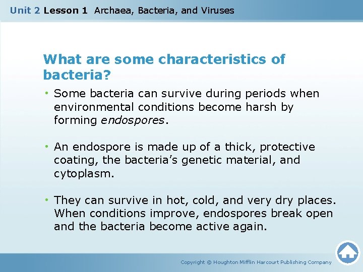 Unit 2 Lesson 1 Archaea, Bacteria, and Viruses What are some characteristics of bacteria?