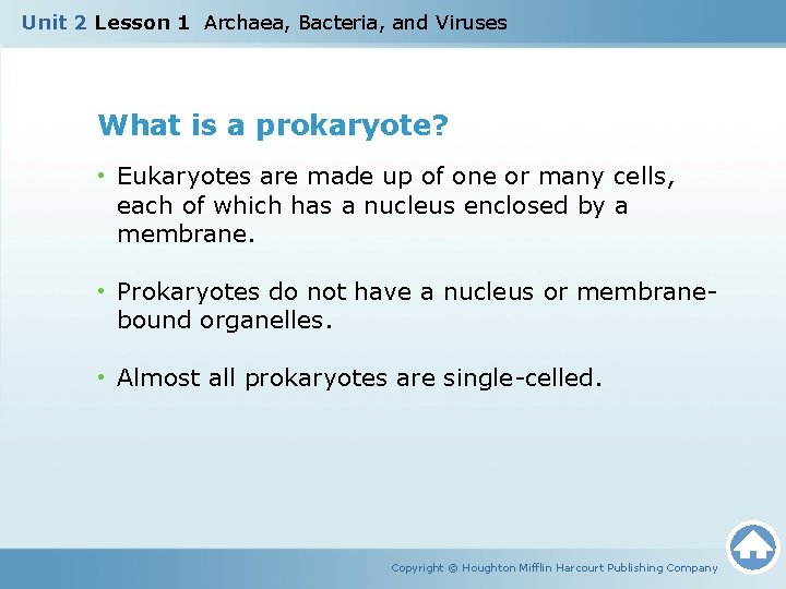 Unit 2 Lesson 1 Archaea, Bacteria, and Viruses What is a prokaryote? • Eukaryotes