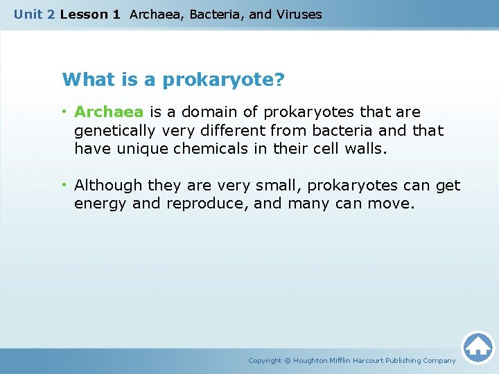 Unit 2 Lesson 1 Archaea, Bacteria, and Viruses What is a prokaryote? • Archaea