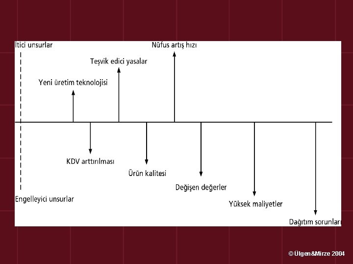 © Ülgen&Mirze 2004 