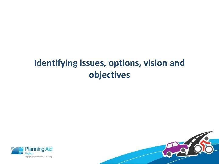 Identifying issues, options, vision and objectives 