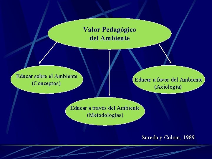 Valor Pedagógico del Ambiente Educar sobre el Ambiente (Conceptos) Educar a favor del Ambiente