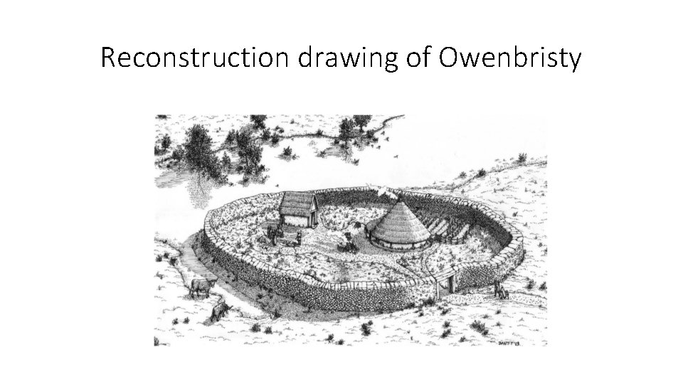 Reconstruction drawing of Owenbristy 