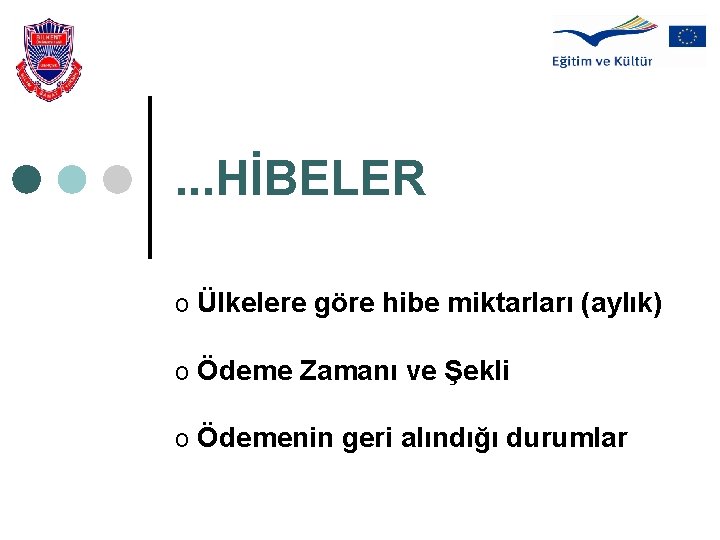 . . . HİBELER o Ülkelere göre hibe miktarları (aylık) o Ödeme Zamanı ve