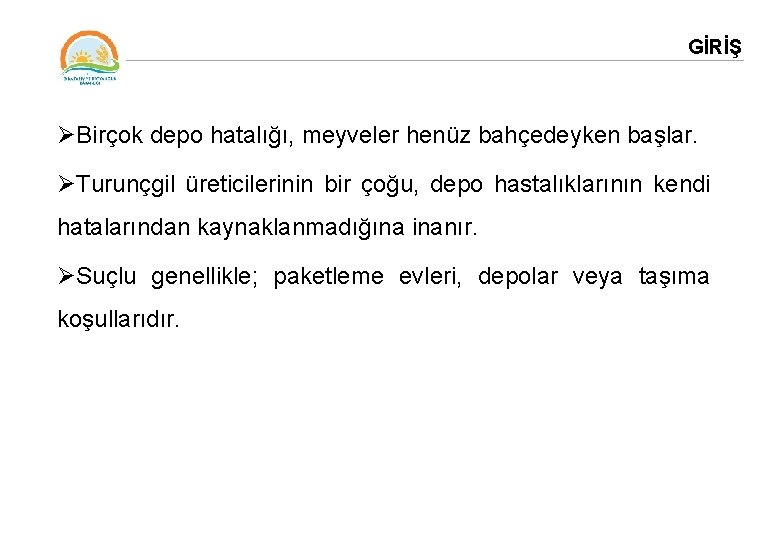 GİRİŞ ØBirçok depo hatalığı, meyveler henüz bahçedeyken başlar. ØTurunçgil üreticilerinin bir çoğu, depo hastalıklarının