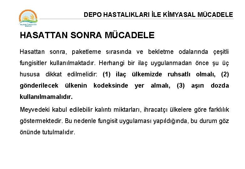 DEPO HASTALIKLARI İLE KİMYASAL MÜCADELE HASATTAN SONRA MÜCADELE Hasattan sonra, paketleme sırasında ve bekletme