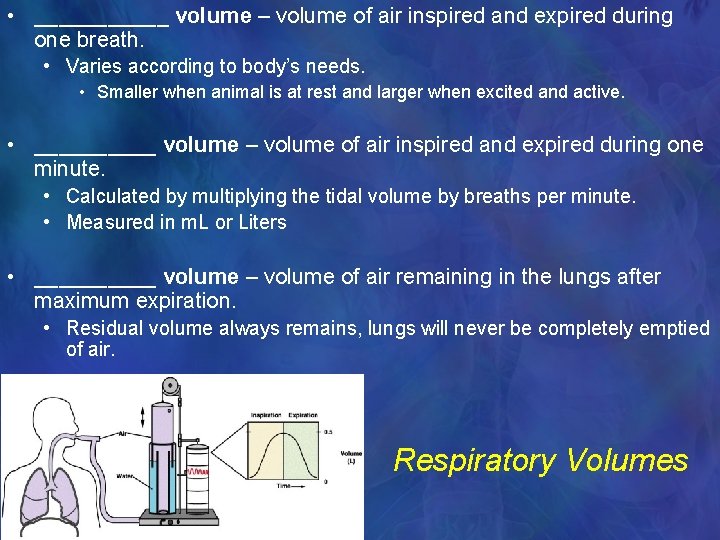  • ______ volume – volume of air inspired and expired during one breath.