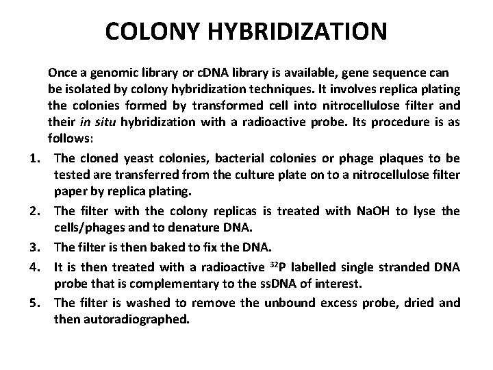 COLONY HYBRIDIZATION 1. 2. 3. 4. 5. Once a genomic library or c. DNA