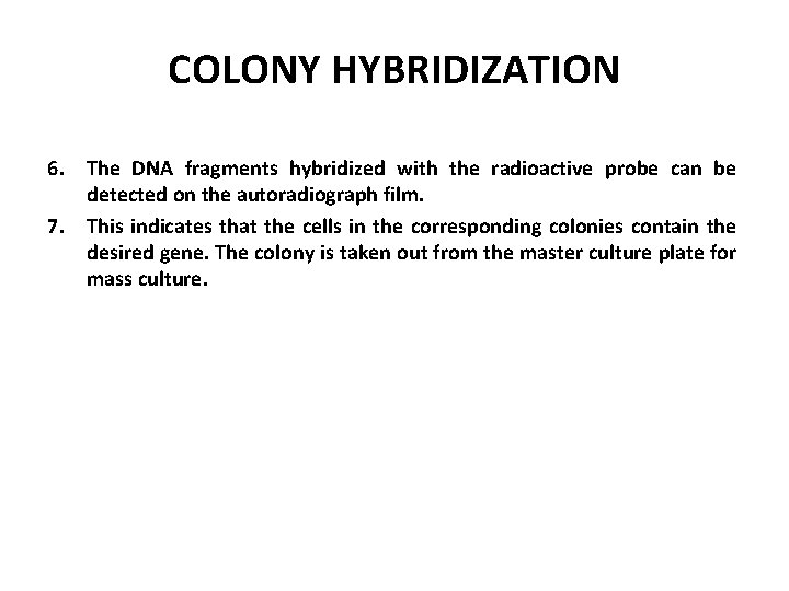 COLONY HYBRIDIZATION 6. The DNA fragments hybridized with the radioactive probe can be detected